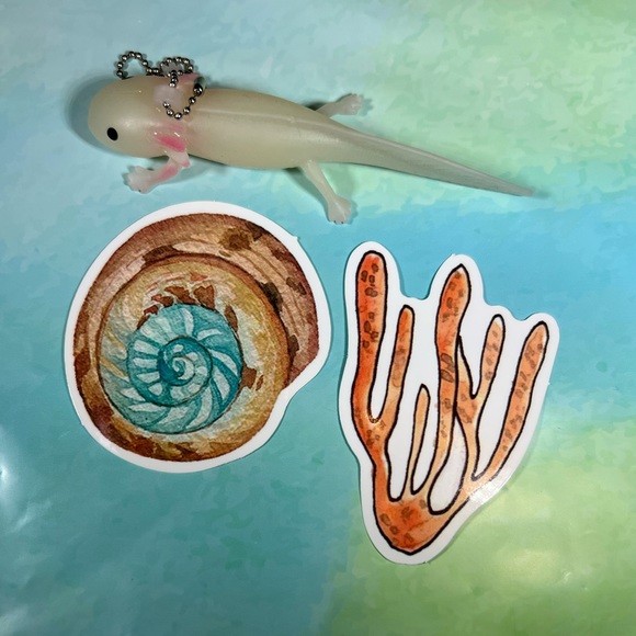 SHELL Axolotl Crazy Trending WaterProof Decor Accent Stickers - Picture 3 of 3